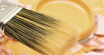 Peinture naturelle et végétale - Décoration